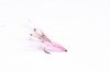 Kamason PINK SHRIMP - KREVETKA MS