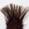 HendsProducts COQ DE LEON