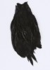 VENIARD Indian Cock Capes