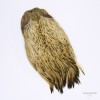 VENIARD Indian Cock Capes