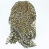 VENIARD 4 x INDIAN HEN CAPES
