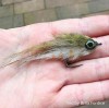 Fish-Skull Rybí oko Living Eyes Earth  (20ks)