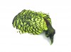 VENIARD Head Dyed