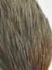 WHITING American Hackle XL 1/2 Balg 