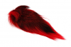 VENIARD Bucktail Whole