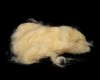 Natures Spirit Bobr DRY FLY DABBING