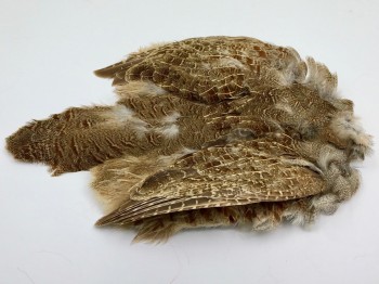 PARTRIDGE - PŘÍRODNÍ
