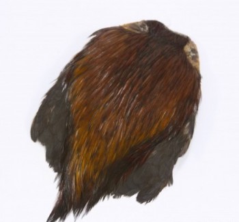 4 x INDIAN HEN CAPES