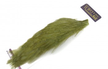 American Hackle XL 1/2 Balg 